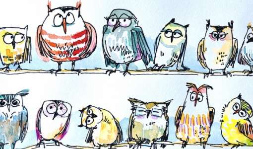 Mit Spaß Zeichnen lernen – Eulen und andere schräge Vögel
